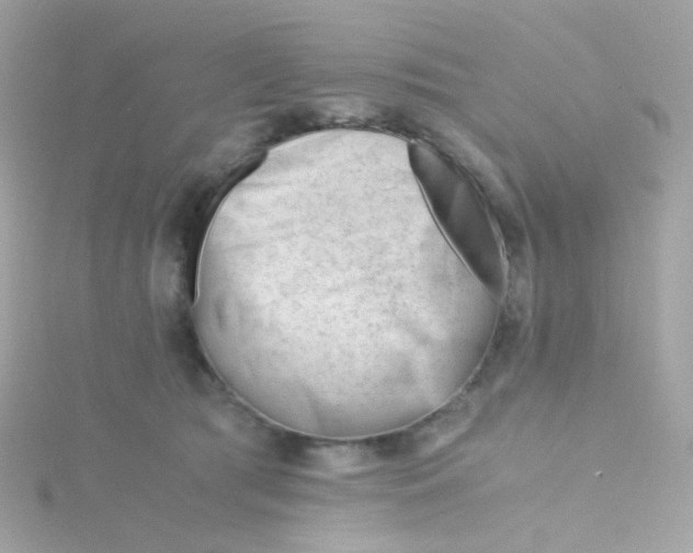 X0000115680417200911251756