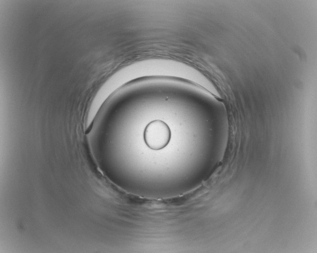 X0000115680419200911251756