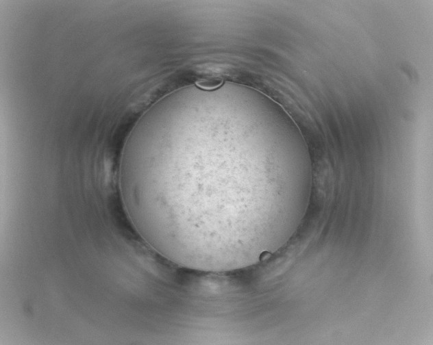 X0000115680420200911251756