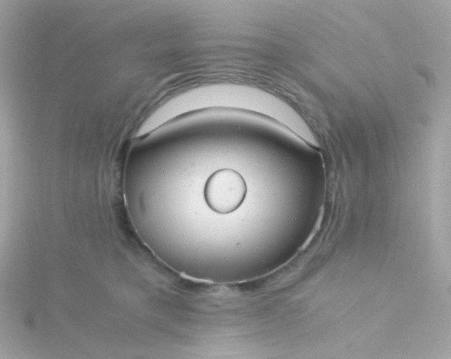 X0000115680421200911251756