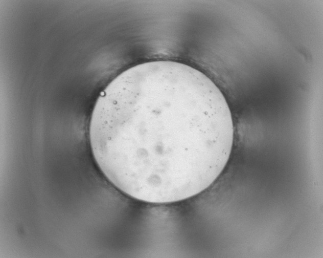 X0000115680423200911251756