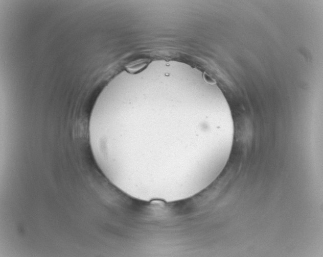 X0000115680425200911251756