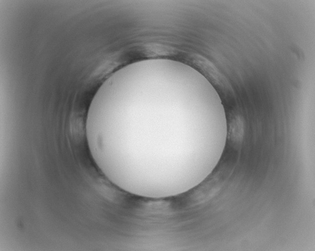 X0000115680426200911251756