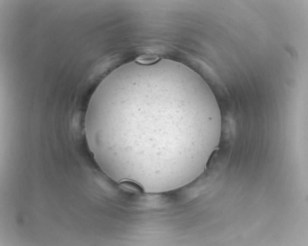 X0000115680428200911251756