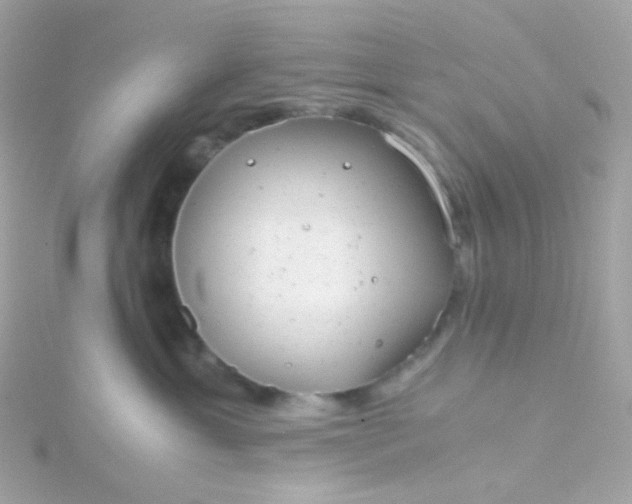 X0000115680429200911251756