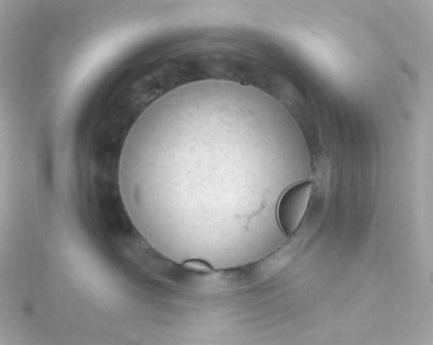 X0000115680430200911251756