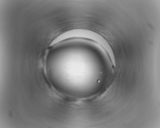 X0000115680431200911251755