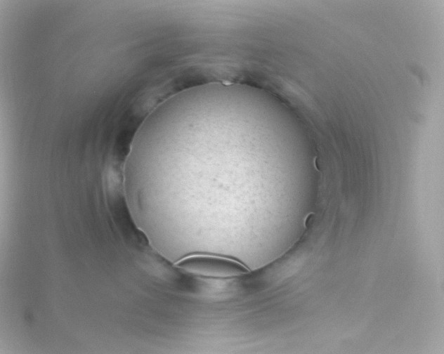 X0000115680432200911251755