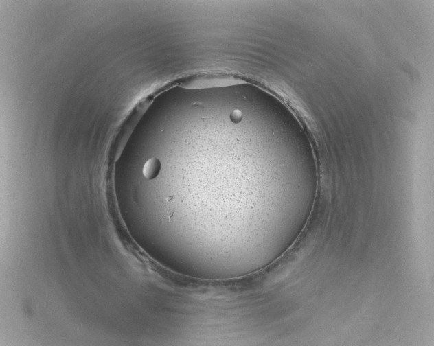 X0000115680434200911251755