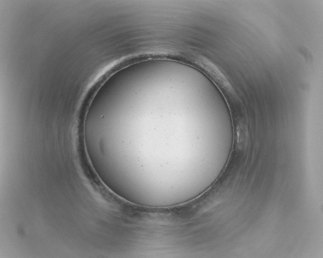 X0000115680436200911251755