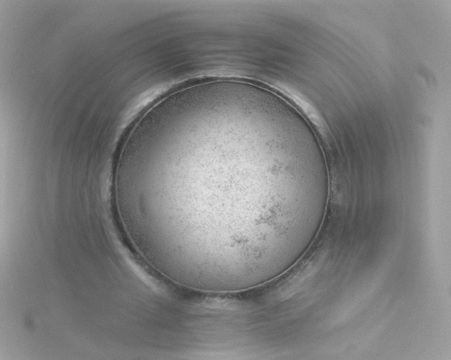 X0000115680437200911251755