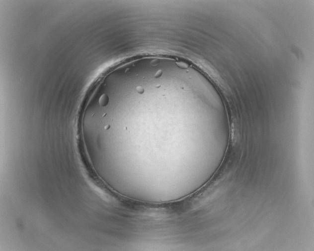 X0000115680438200911251755