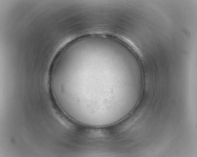 X0000115680439200911251755