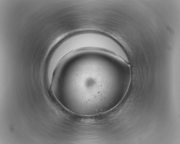 X0000115680440200911251755