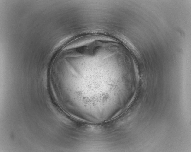 X0000115680442200911251755