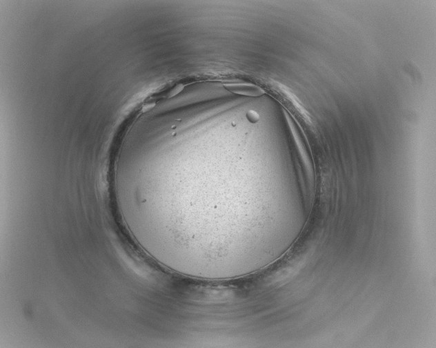 X0000115680443200911251755