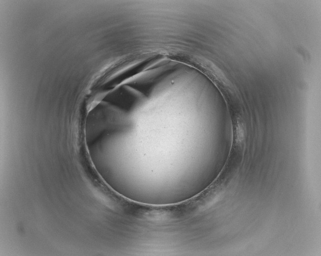 X0000115680444200911251755