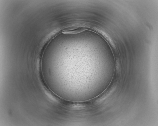 X0000115680445200911251755