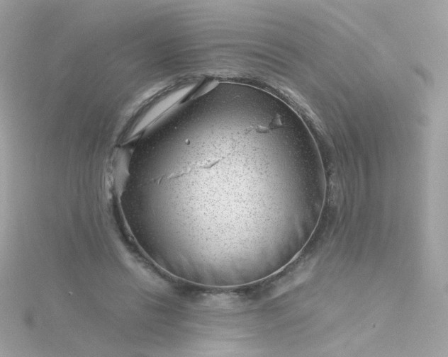 X0000115680446200911251755