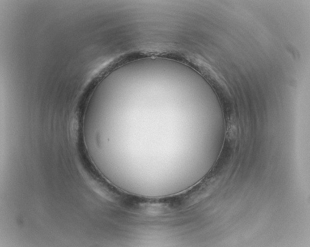 X0000115680448200911251755