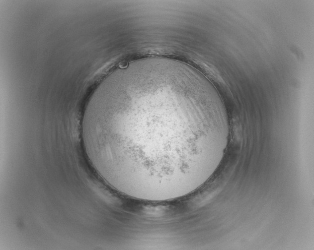 X0000115680450200911251755