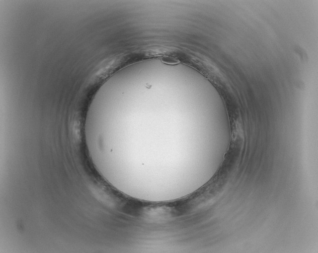 X0000115680452200911251755