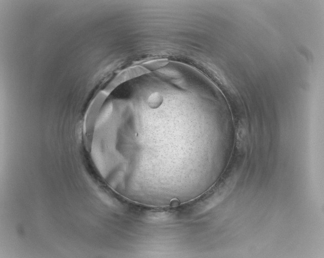 X0000115680454200911251755