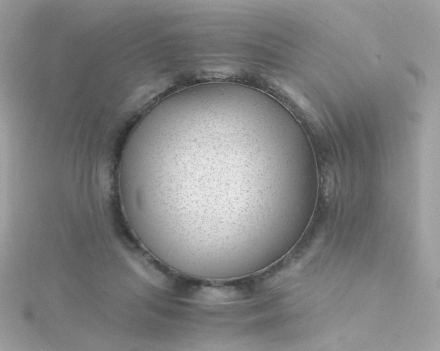 X0000115680455200911251755