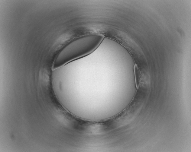 X0000115680456200911251755