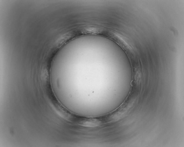 X0000115680459200911251755