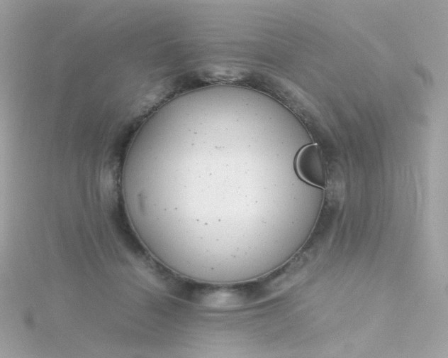 X0000115680460200911251755