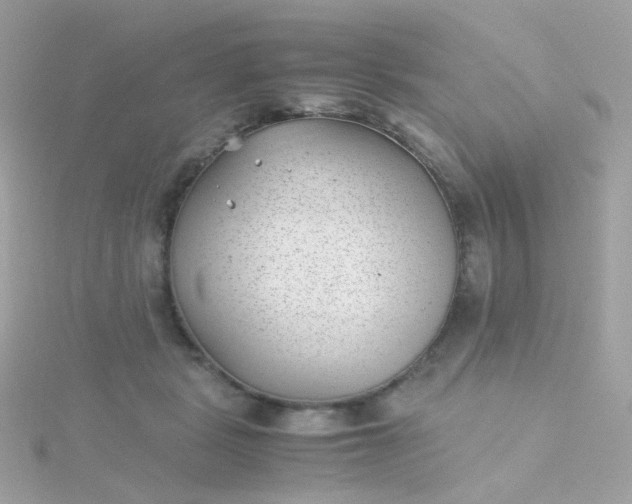 X0000115680461200911251755