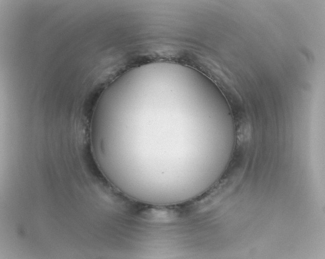 X0000115680464200911251755