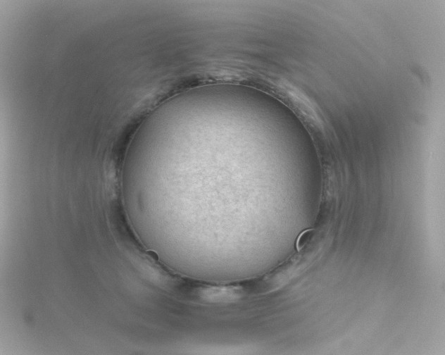 X0000115680465200911251755