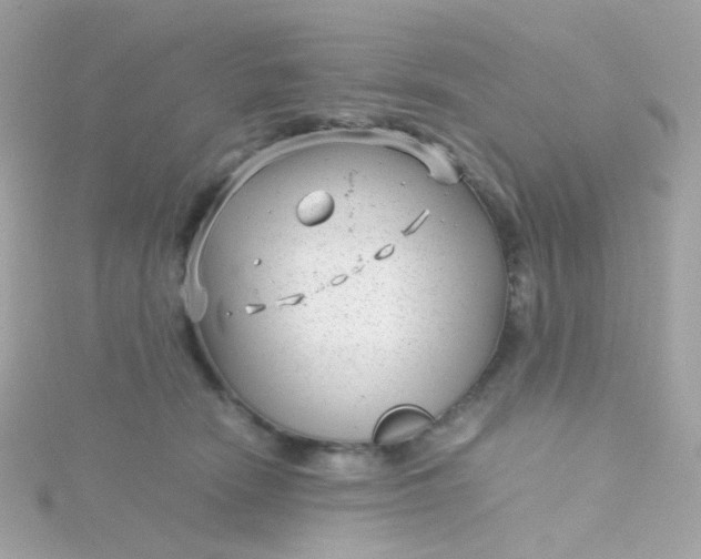 X0000115680466200911251755