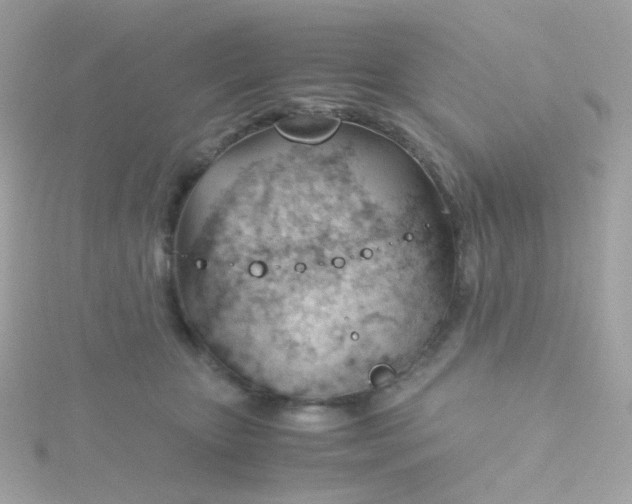 X0000115680467200911251755