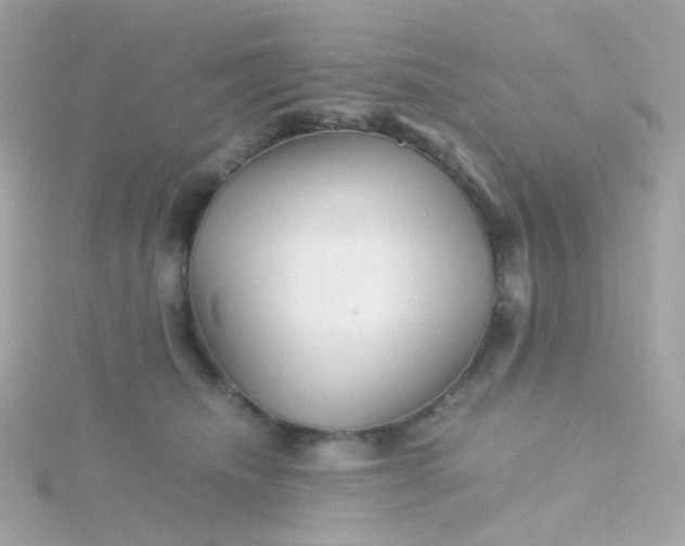 X0000115680468200911251755