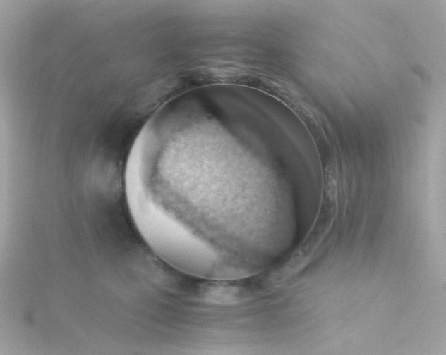 X0000115680471200911251755