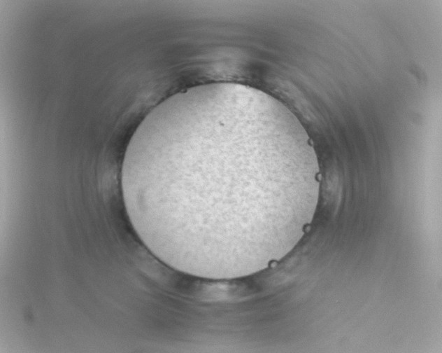 X0000115680473200911251755