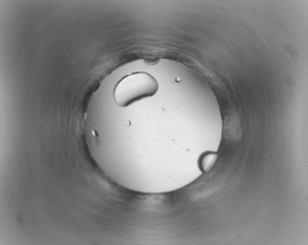 X0000115680474200911251755