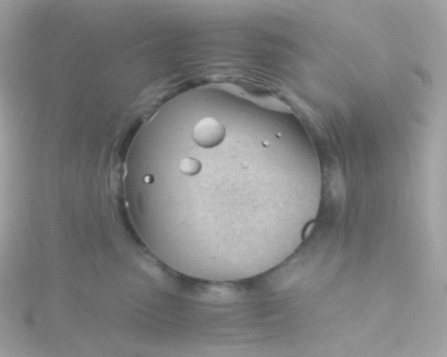 X0000115680475200911251755