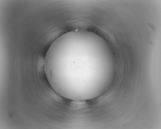 X0000115680480200911251755