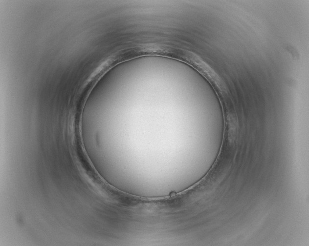 X0000115680482200911251755