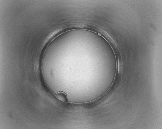 X0000115680483200911251755