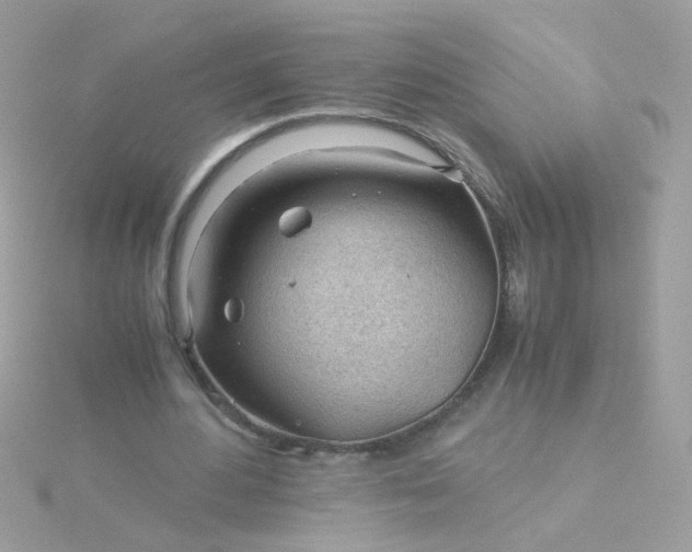 X0000115680484200911251755