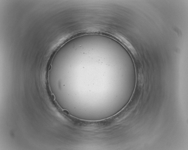 X0000115680485200911251755