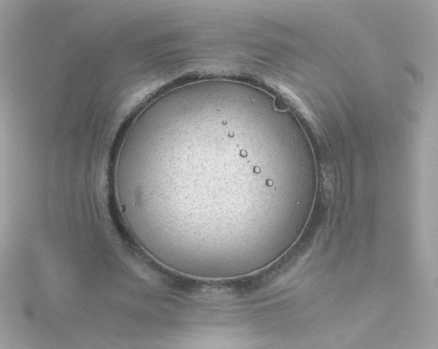 X0000115680487200911251755