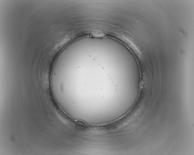 X0000115680489200911251755