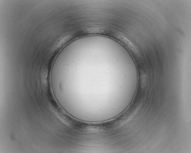 X0000115680490200911251755