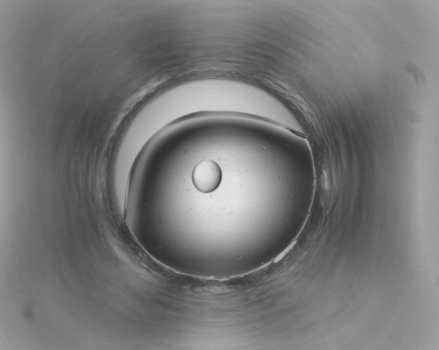 X0000115680492200911251755